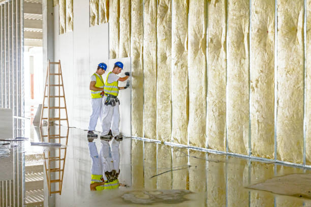 Best Commercial Insulation in Tenaha, TX